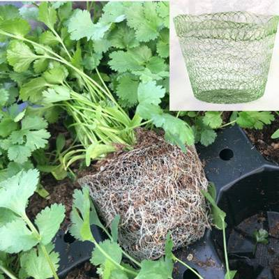 Growcoon support de culture UAB et 100% biodégrable