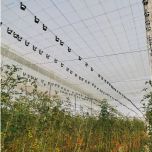 BIOTUTOR - ficelle horticole