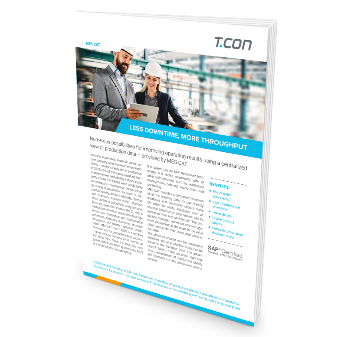 MES CAT – The MES Software