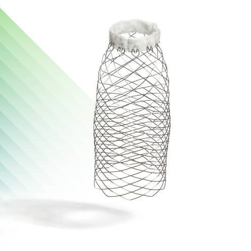 AMDS -Hybrid Acute Type A Dissection (ATAD) Prosthesis