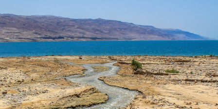 THE CLIMATE DIPLOMAT XR