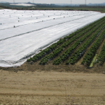 VOILE NON TISSE - P17 - CYLTHERMIC