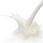 Instant Cold Water Soluble Fat Powder/ Fat Powder