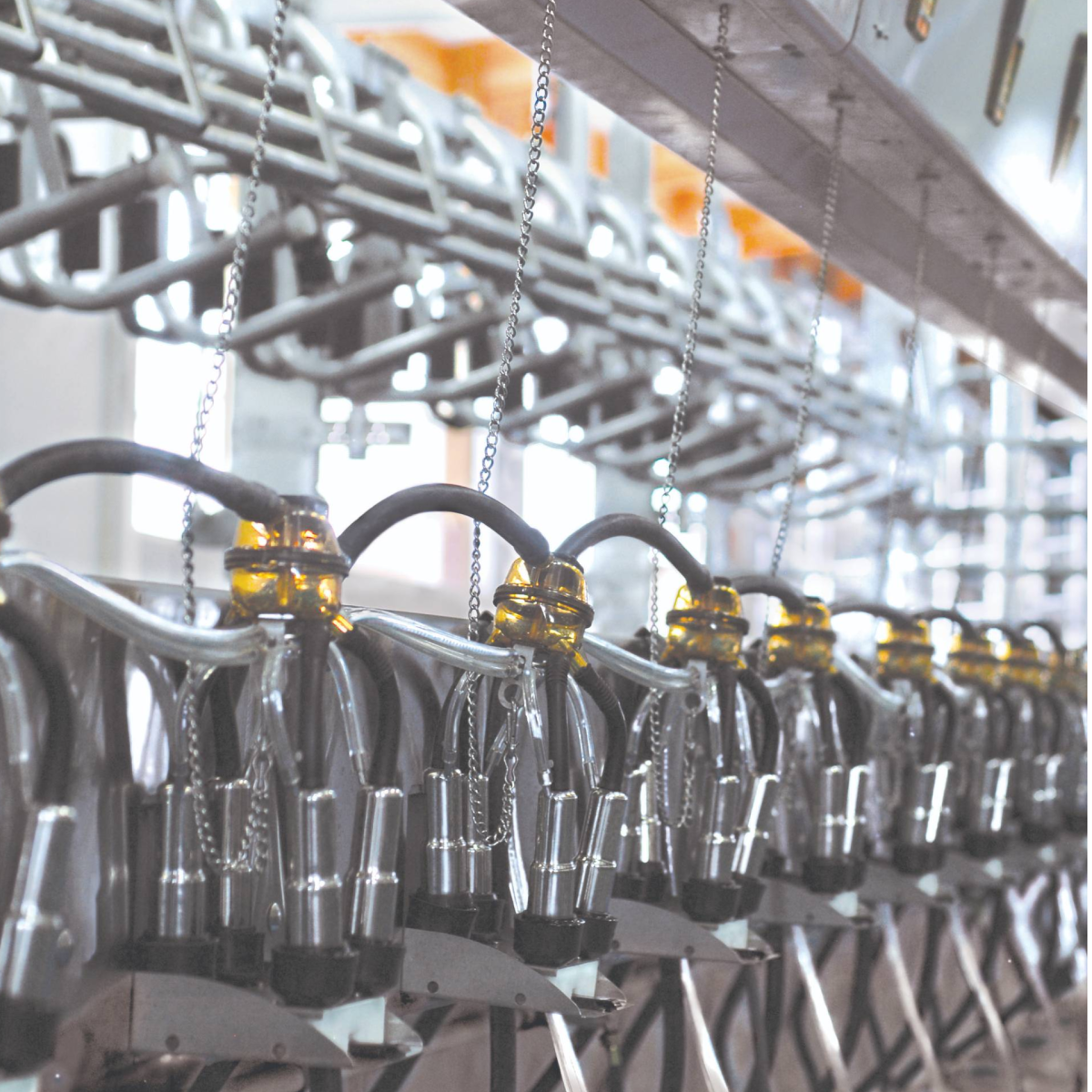 Flo-Star Max Trade-In Program