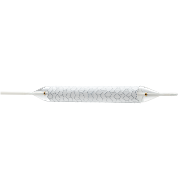 Radiant™ Balloon-expandable Covered Stent