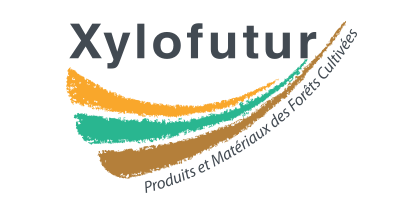 Xylofutur