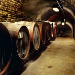 Lieviti per Enologia