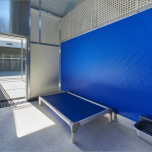 Mason on the Floor Sani-Kennel