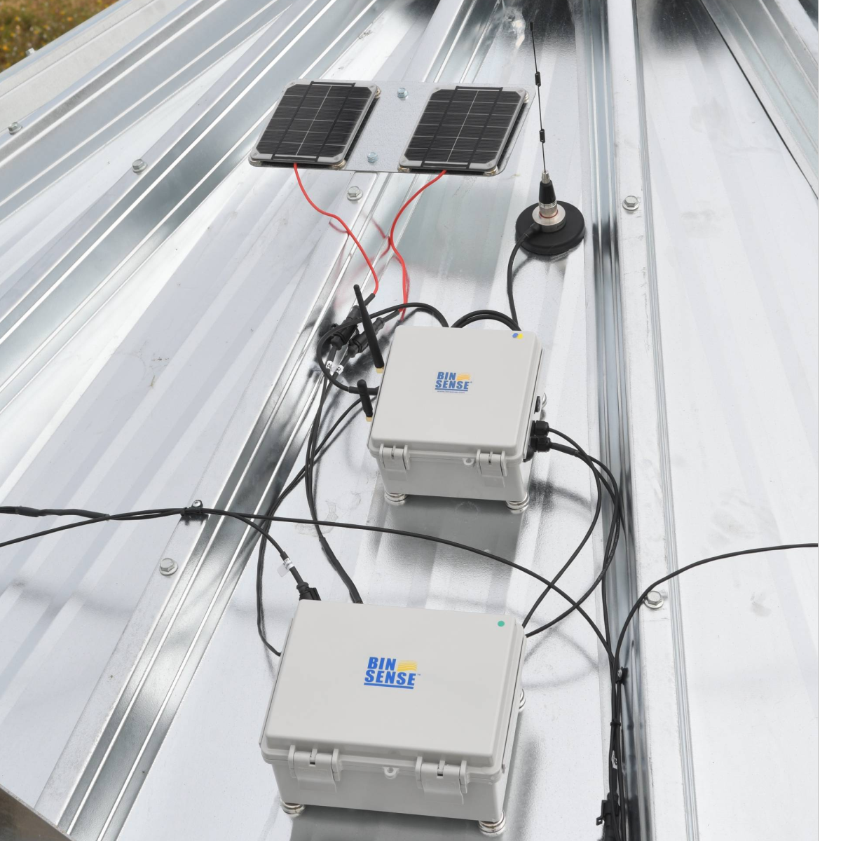 BIN-SENSE®