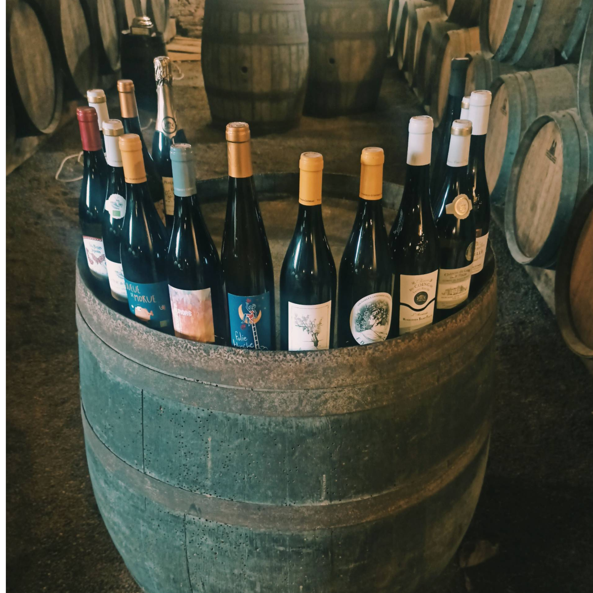 Journées Portes-Ouvertes