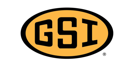 GSI
