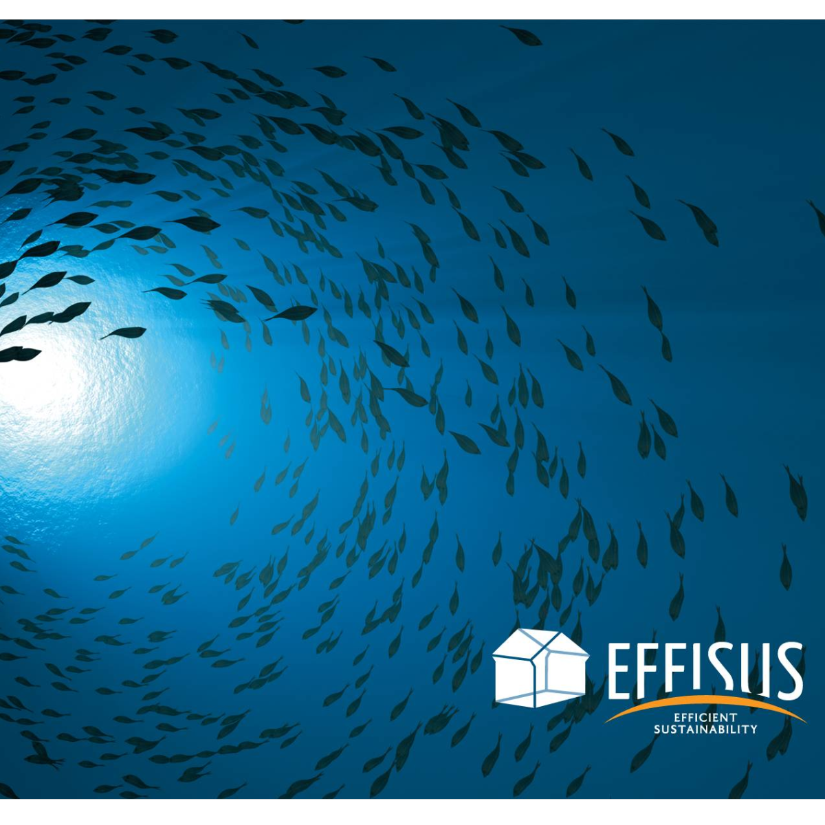 Weatherproofing Consulting