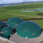Digester Tanks
