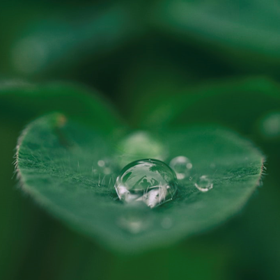 Carbon unit procurement strategy