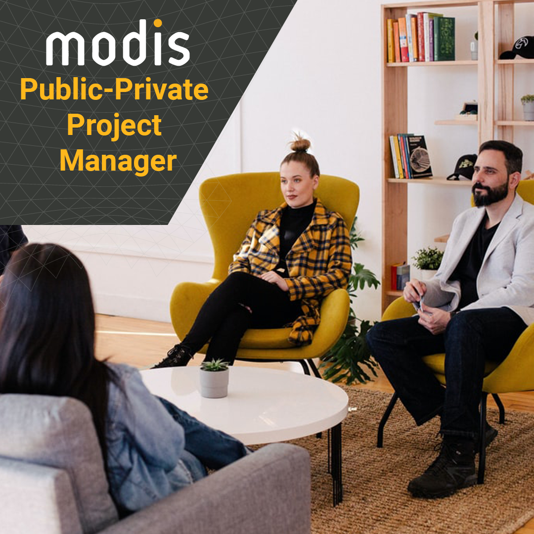 Public-Private Project Manager