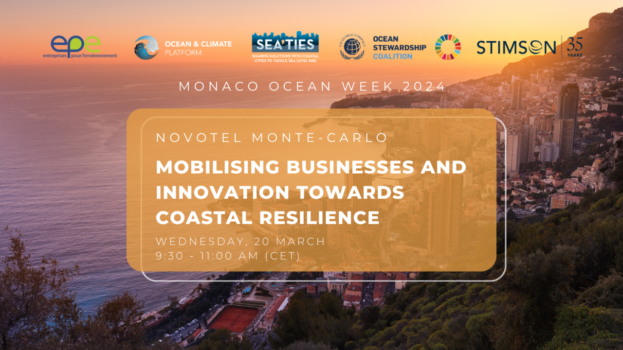 Mobilising businesses and innovation towards coastal resilience