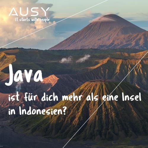 🏝️ Java Developer - all levels (m/w/d)
