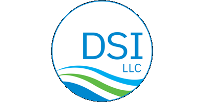 DSI LLC