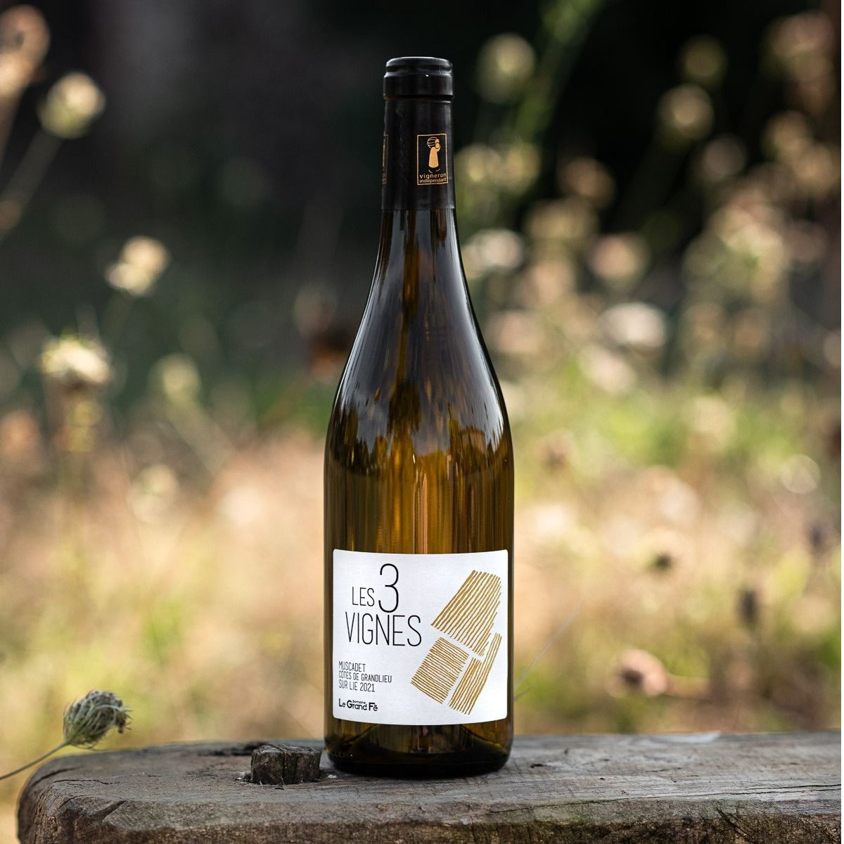 Muscadet sur lie Côtes de Grand Lieu