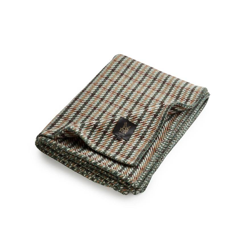 Fox Englishman in New York Blanket