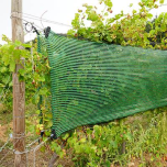 Vineyard protection - Cov'Impact®