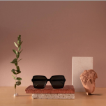 Sandro Paris SUN21 SD6025