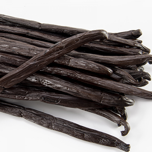 Gousses Tahitensis de Polynésie Française