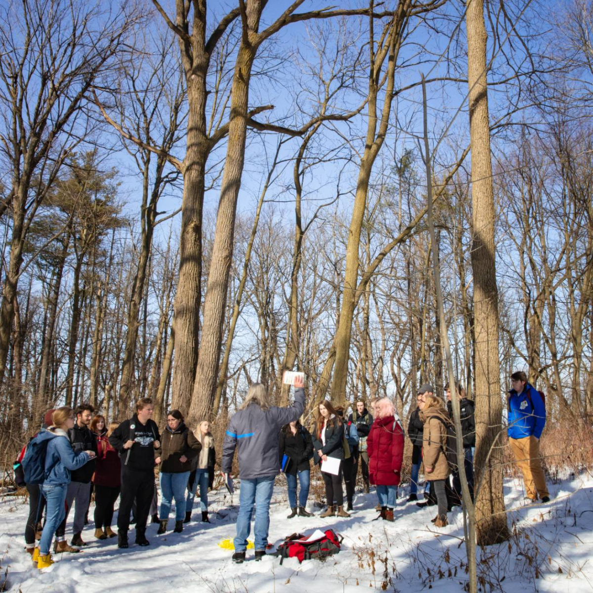 Online Environment Program Information Night