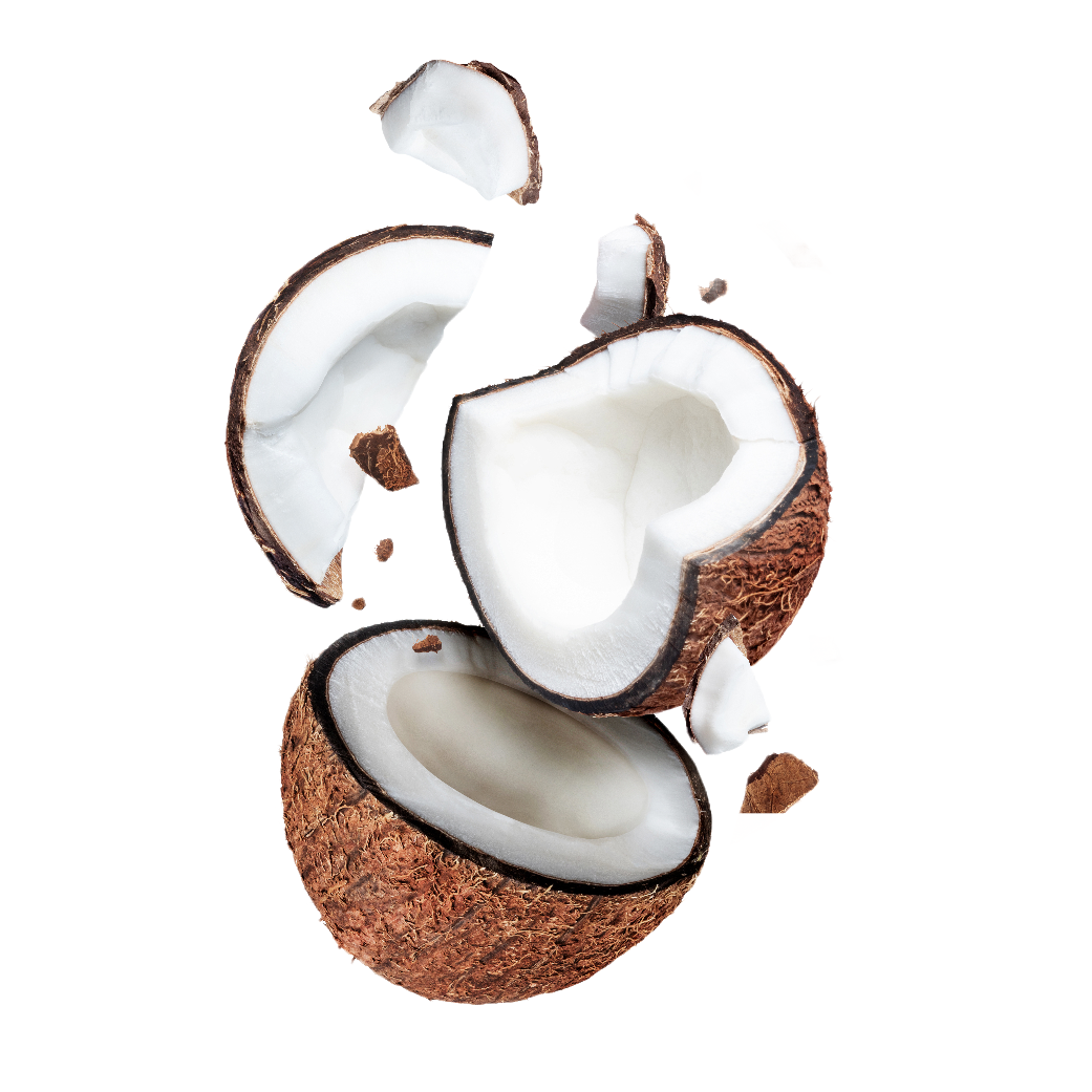 Coconut and Palm MCT: Medium Chain Triglycerides