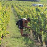 Les Gneiss Rouge 2021