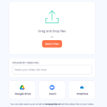 Video Analysis & Management