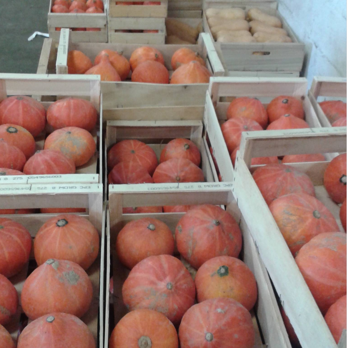 Marché de gros alimentaire de Vivy (49)