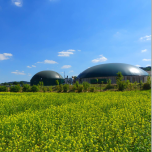 LPG for Grid Injection