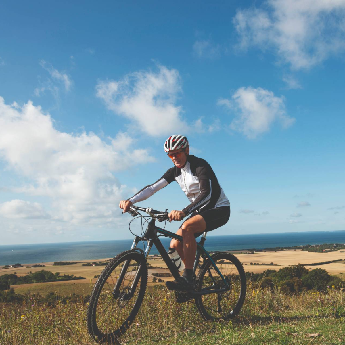 Téléassistance mobile