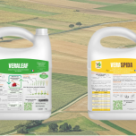 VERALEAF & VERASPIDA