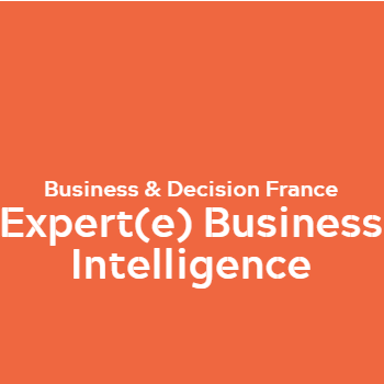 Expert(e) Business Intelligence