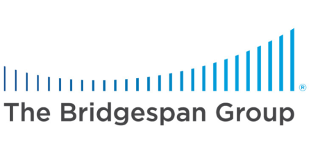 The Bridgepsan Group