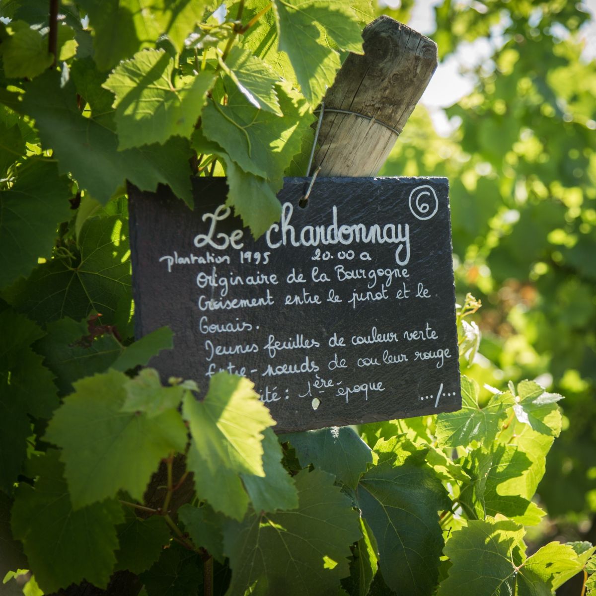 Sentier Sensoristique