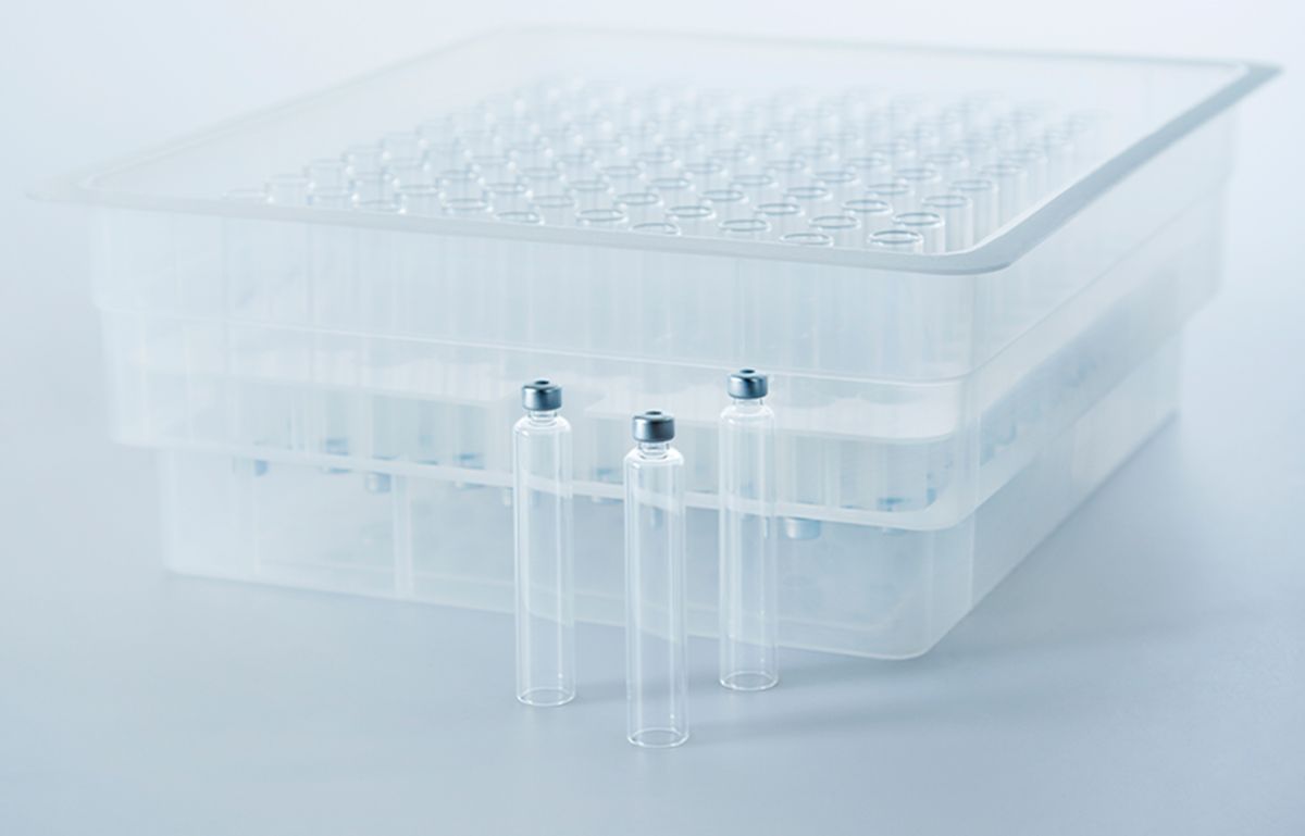 SG Nexa 3x Cartridges