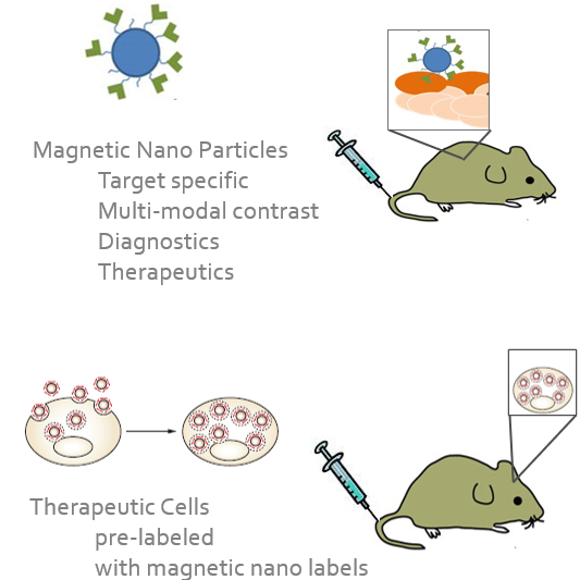 Introduction to particle Electron Paramagnetic Resonance (pEPR) and Pepric pEPR Spectrometer (PPS)