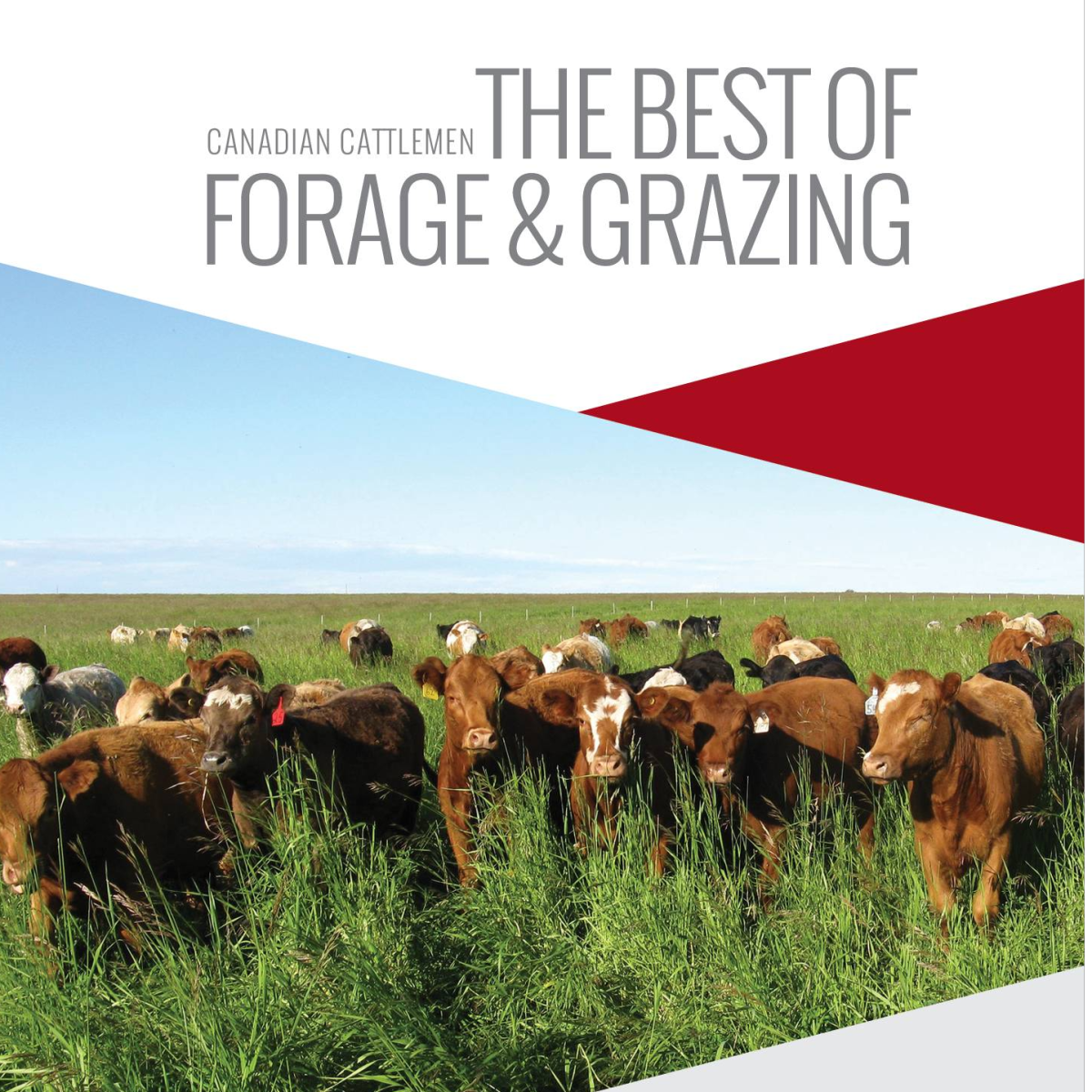 FORAGE & GRAZING | Canadian Cattlemen
