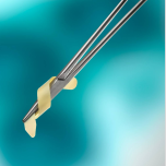 XenoSure® Biologic Patch