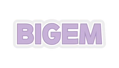 BIC Indie Global Expansion Marketing