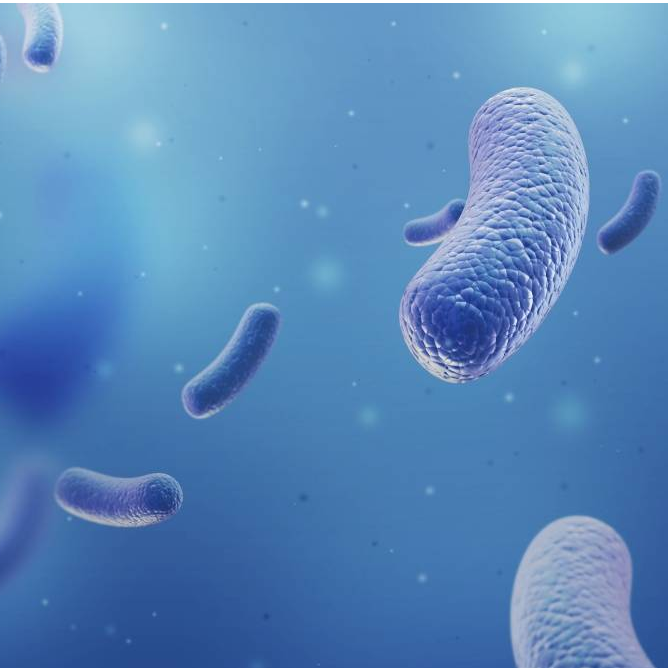 GMP Manufacturing Live Microbial Products