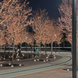 Fußballstadion und Parkgelände | Krasnodar