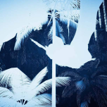 Inside Tumucumaque - a virtual reality installation