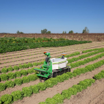 Oz, l'assistant agricole polyvalent