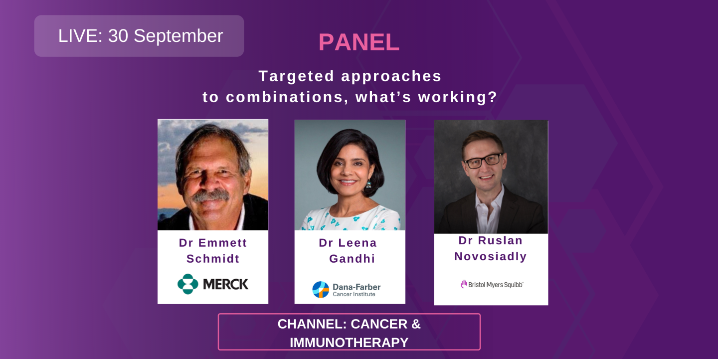 Panel: Targeted approaches to combinations, what’s working?