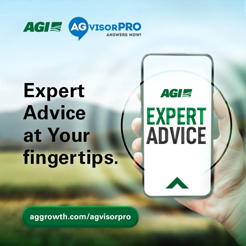 Answers at Your Fingertips. Chat with AGI Experts!