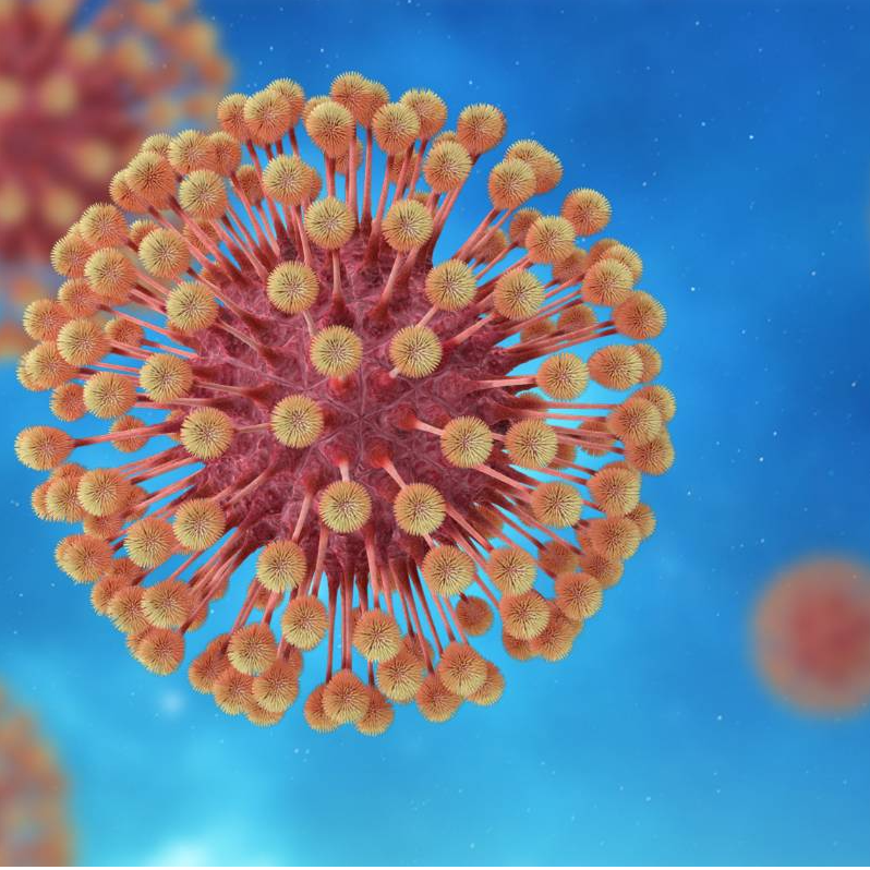 Custom Pharmacology & Toxicology Solutions